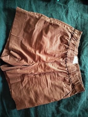 Everlane Organic Cotton Shorts